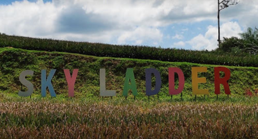 Sky Ladder Pineapple Farm
