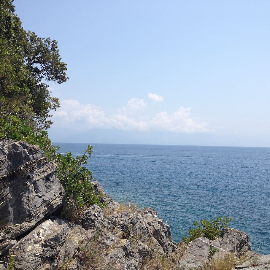 
Tanjung Tuan Recreational Forest