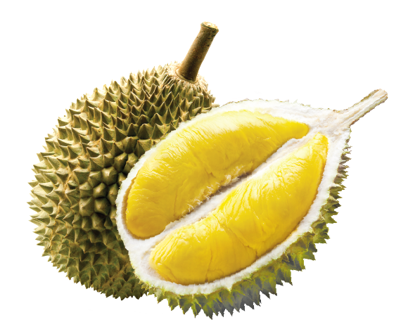 Durian Mantin